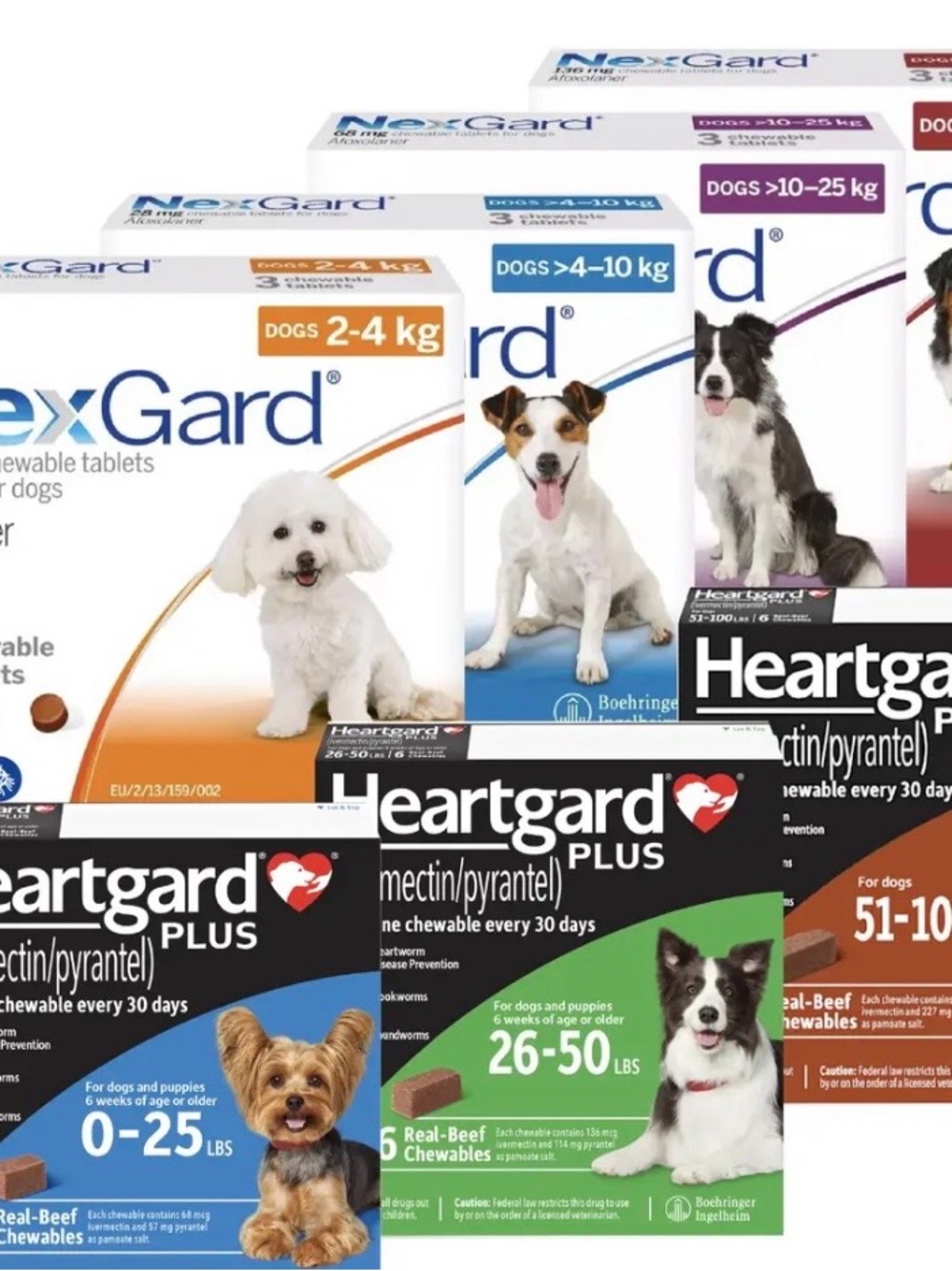 Nexgard and Heartgard Plus SUPER SALE TODAY ONLY FREE SHIPPING